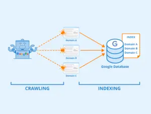 Google web site indexleme
